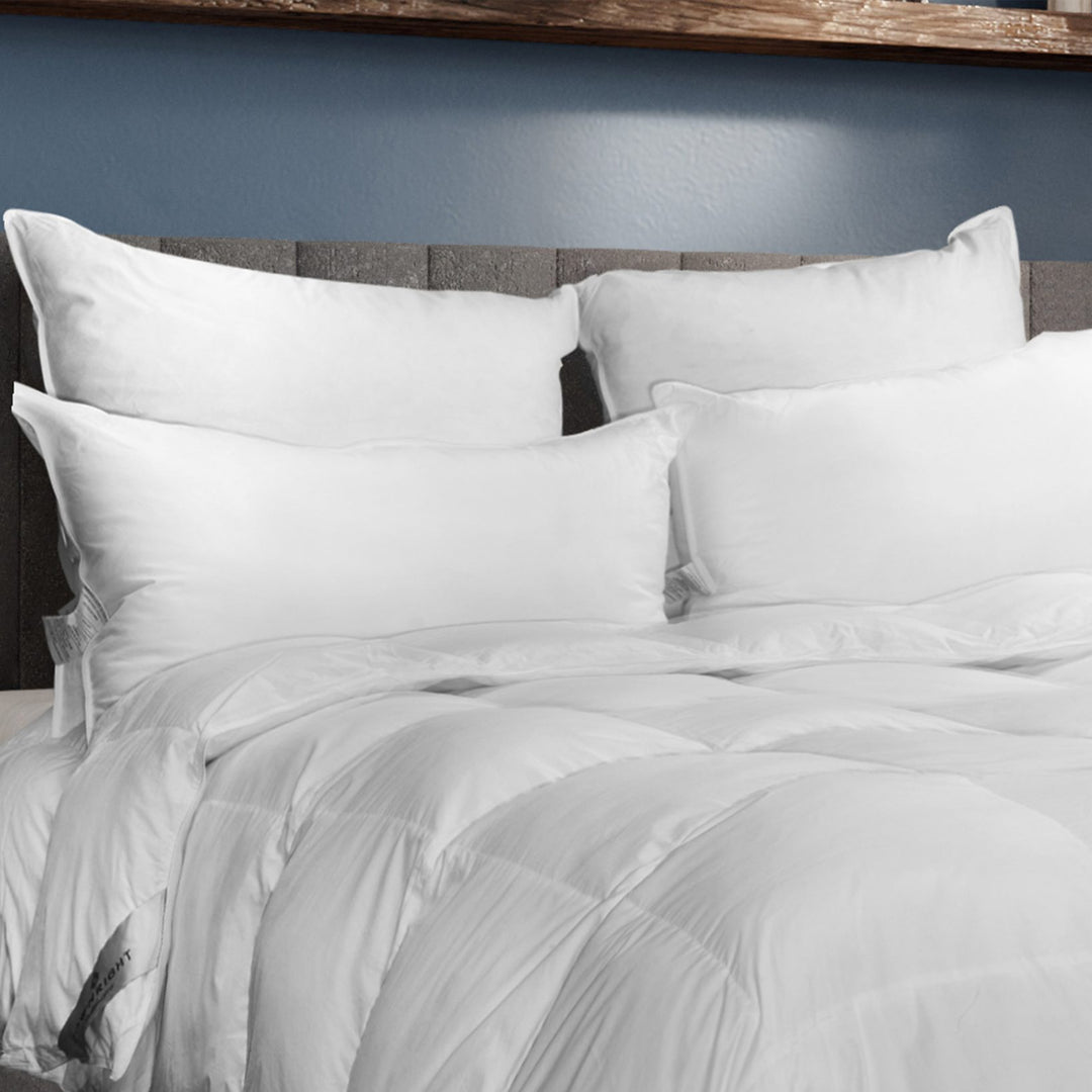 Cascada Summit 600+ Hypoallergenic White Goose Down Pillow Pillow Inserts By Downright