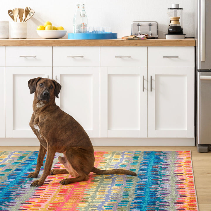Paint Chip Multi Machine Washable Rug Rug By Annie Selke