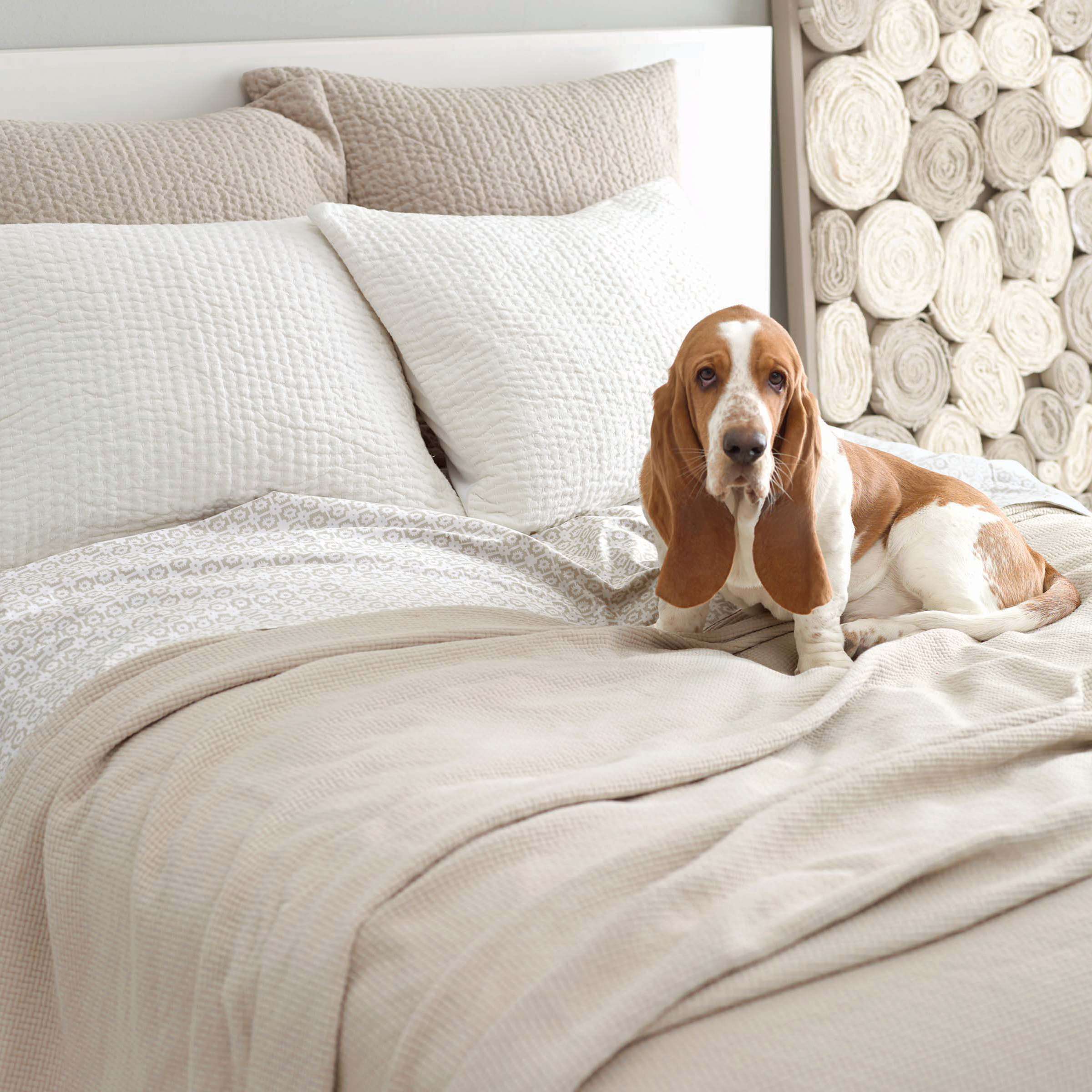 Annie Selke Interlaken Matelasse Coverlet - Thumbnail 4