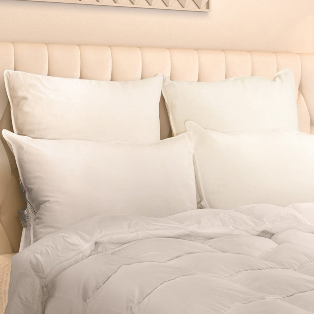 Logana 800+ Hypoallergenic Siberian White Goose Down Pillow Pillow Inserts By Downright