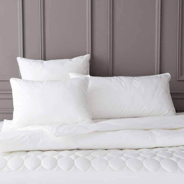 Feather/Down Decorative Pillow Insert Pillow Inserts By Annie Selke