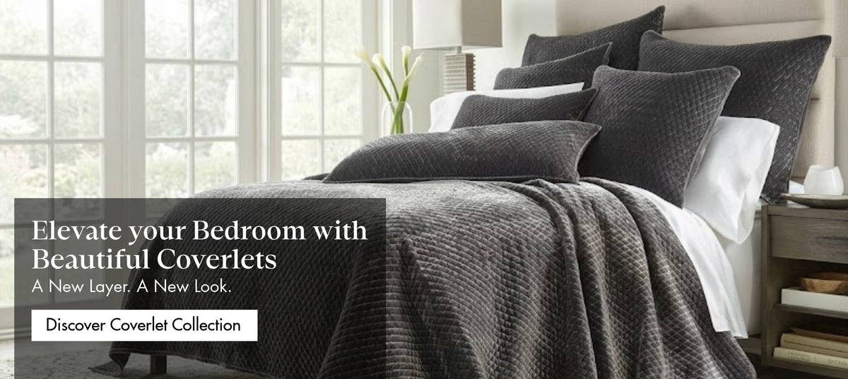 Banner featuring exciting offers and exclusive deals